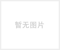 造纸湿强剂